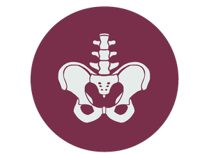 Dott.ssa Stefanie Jansz - Logo